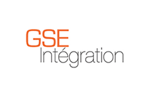 gse-integration-partners