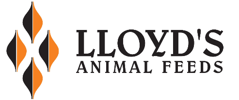 lloyds-animal-feeds-logo